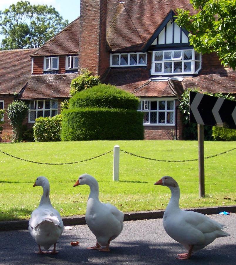 The Brickwall Hotel Sedlescombe Εξωτερικό φωτογραφία